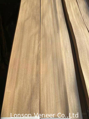 Le bois d'orme de grain droit plaquent l'épaisseur naturelle 0.50MM