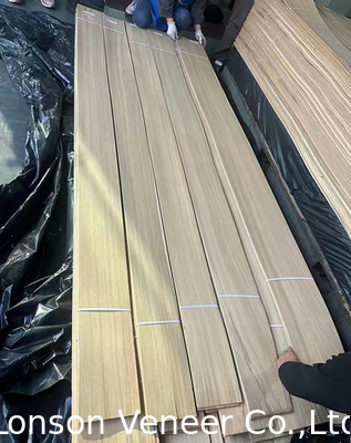 Faisceau de bois naturel de qualité AA de chêne européen Épaisseur 0,5 mm ≥ 245 cm Longueur