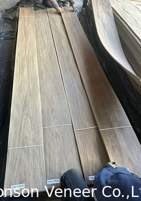 Coupe couronne American Walnut Veneer Grade AA naturel Épaisseur 0,42 mm Couleur légère